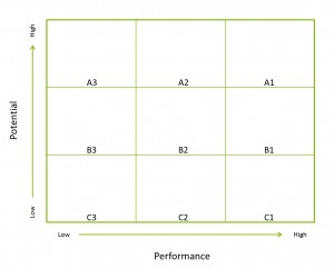 Nine Box Diagram